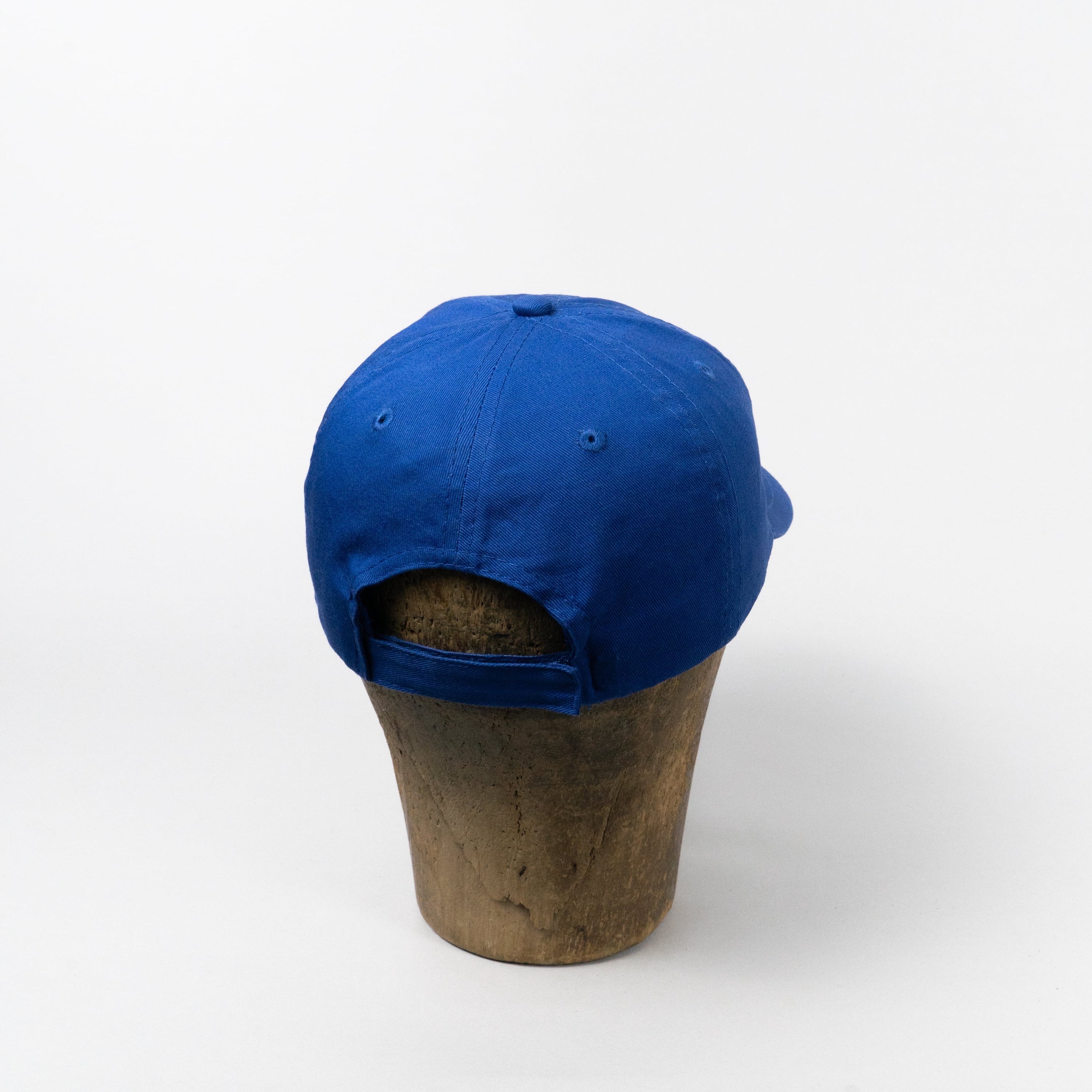 Southwest Airlines Bleu
