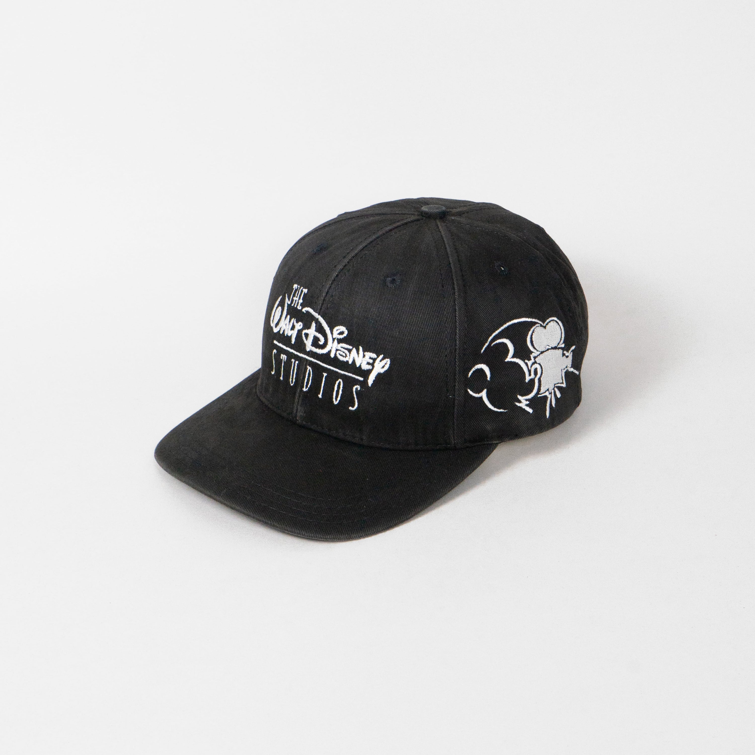 Gli Studi Walt Disney