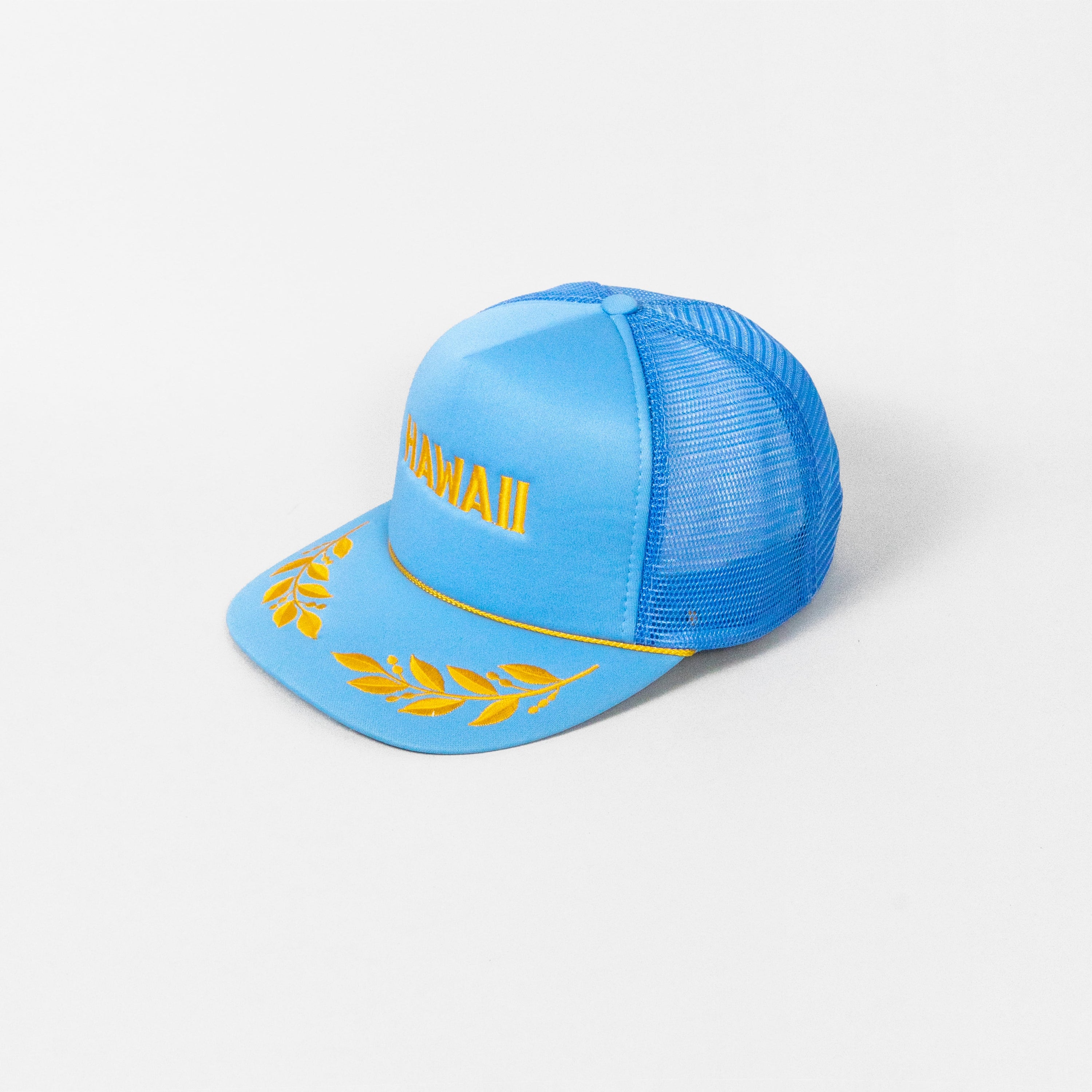Hawaii Apolo