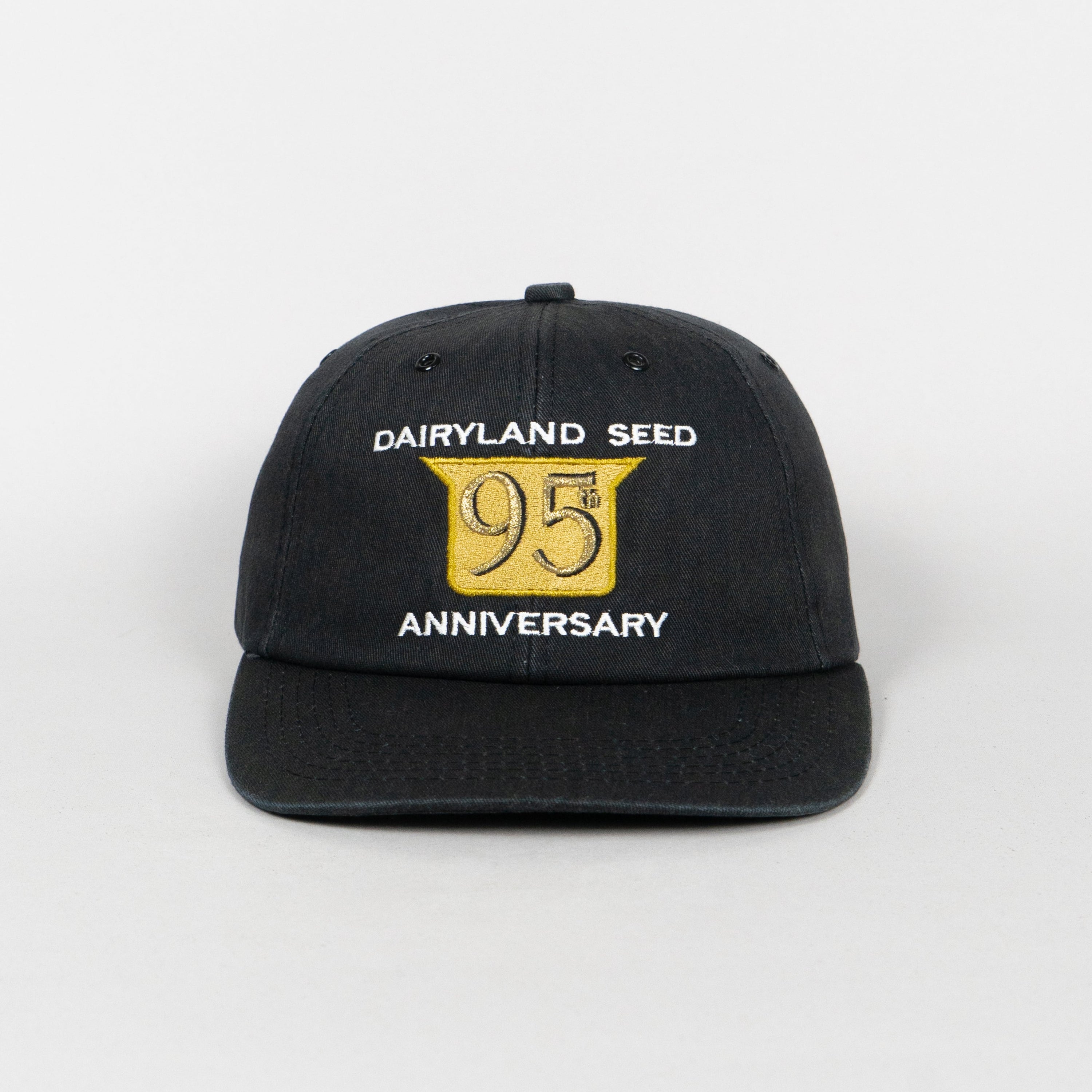 Dairyland Seed
