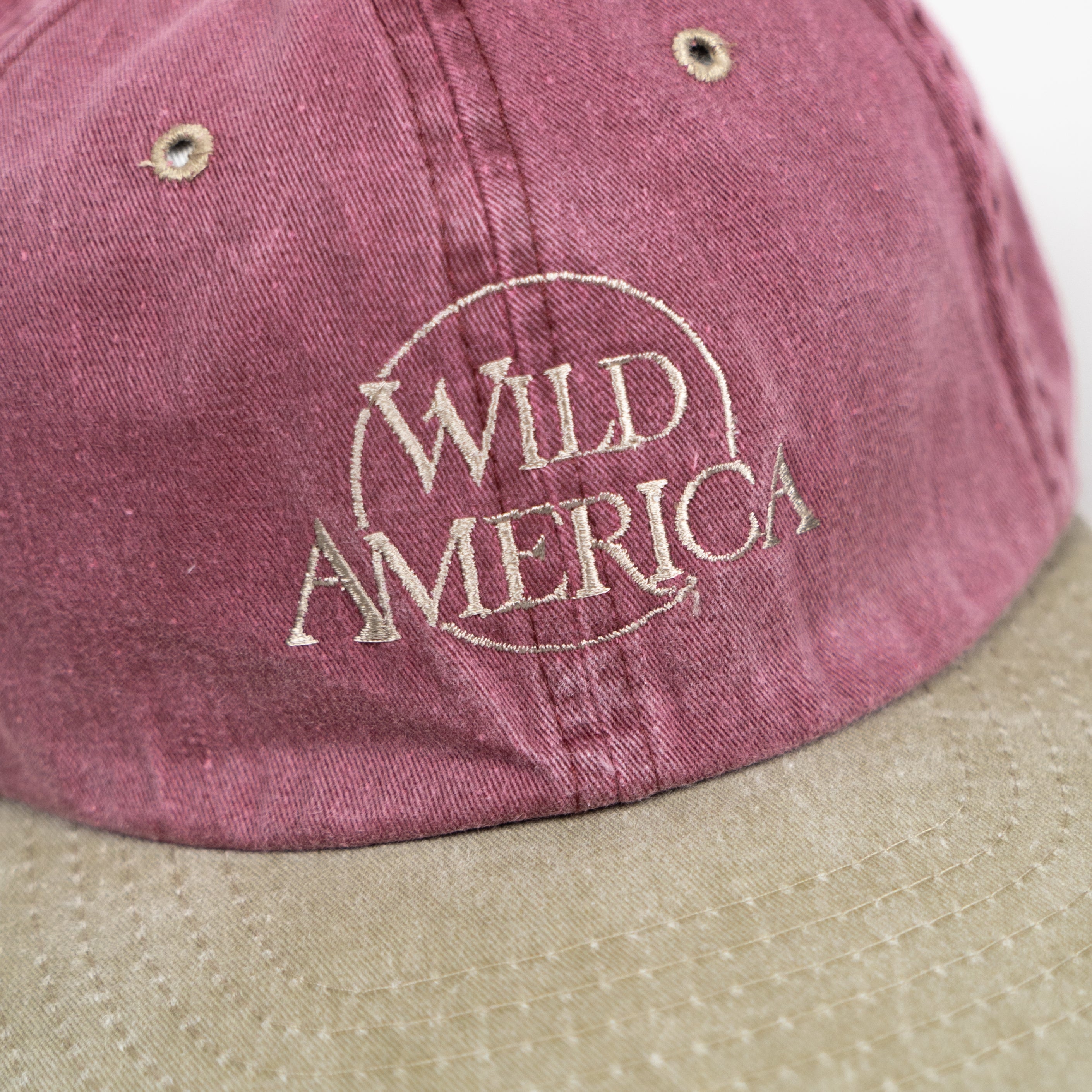 Wild America
