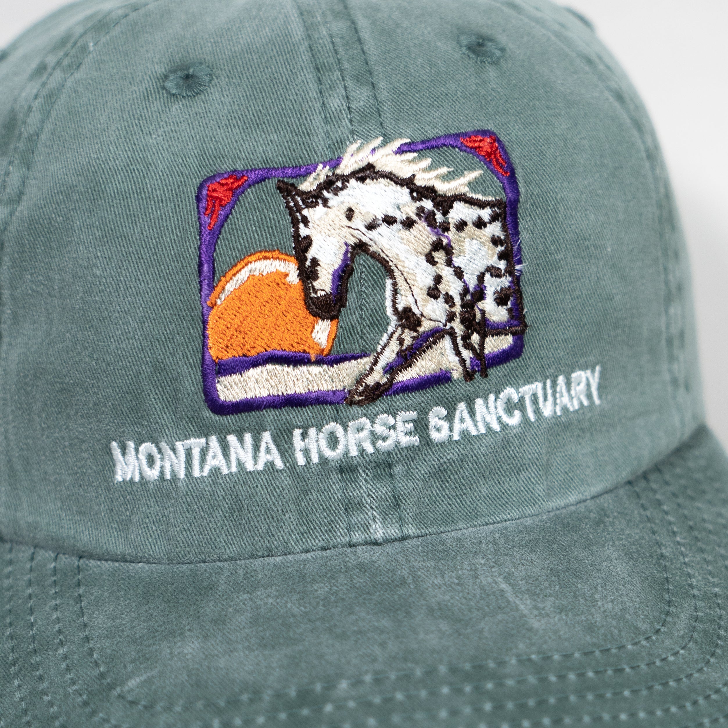 Montana Horse Sanctuary