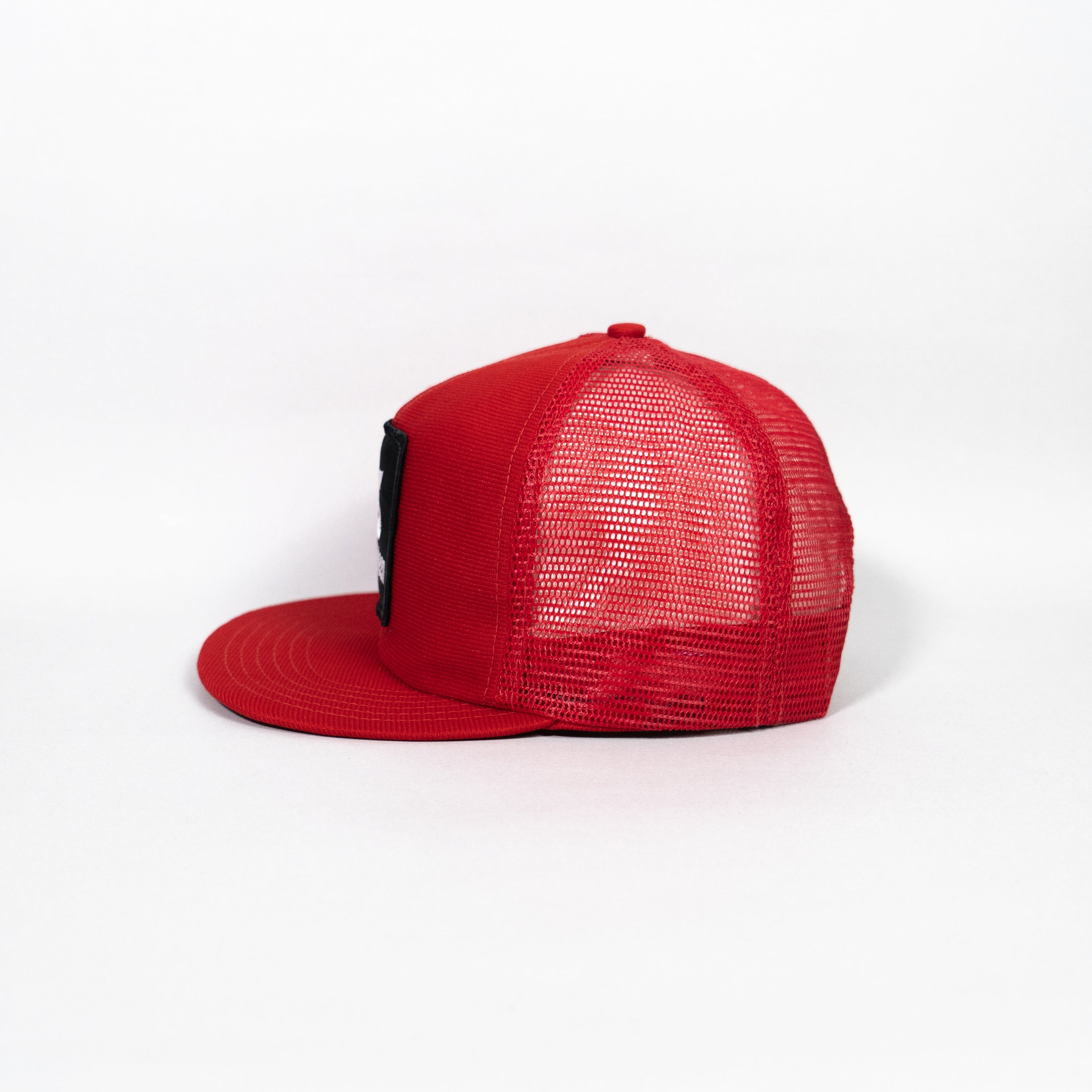 Safety Kleen Mesh