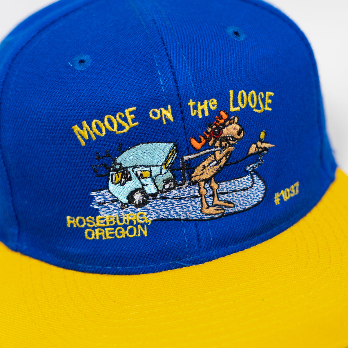 Moose in the Loose