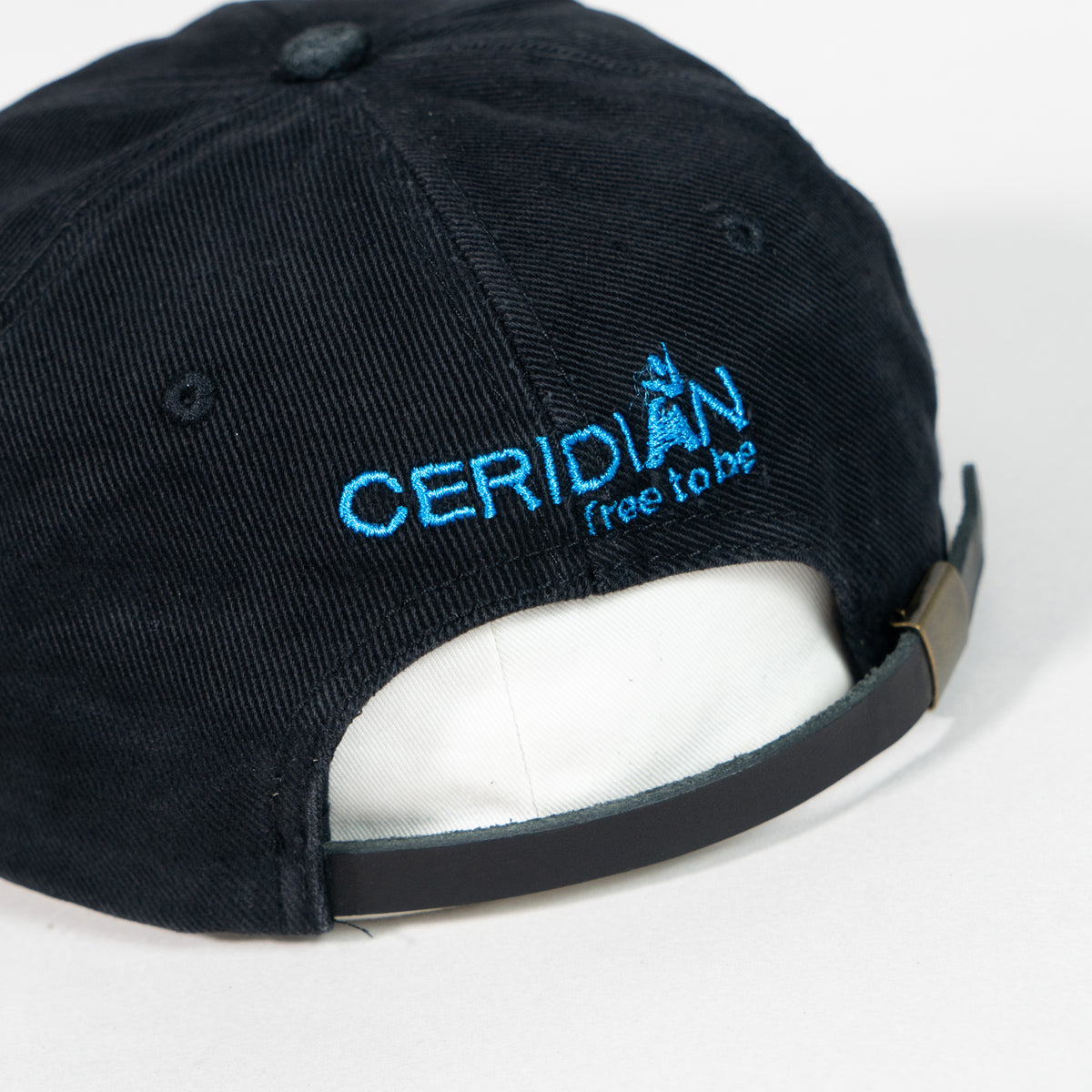 Security Ceridian