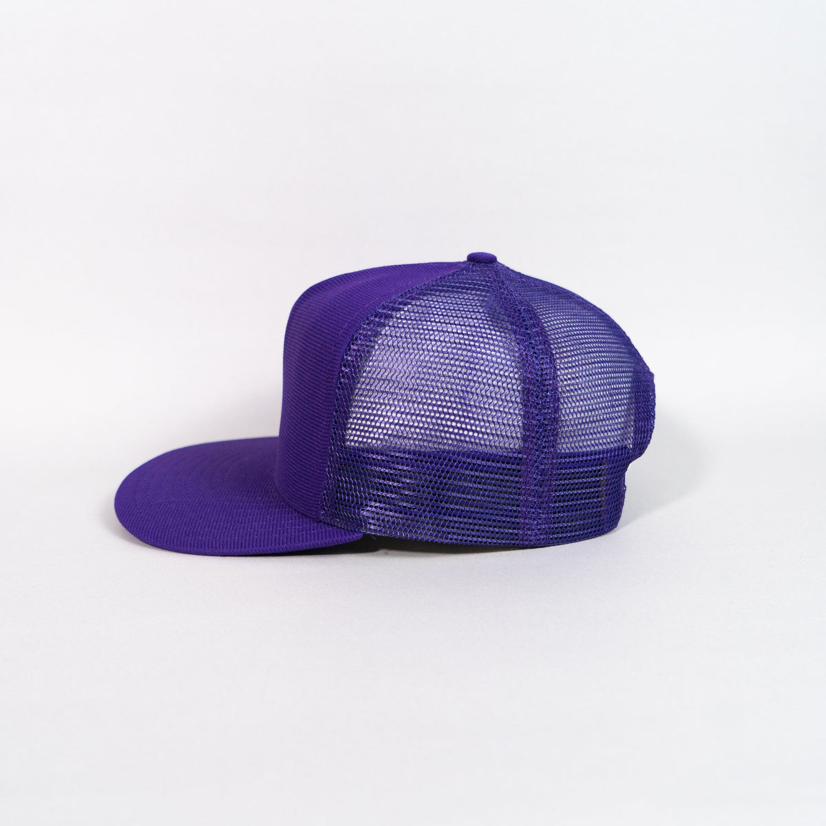 Blank Purple
