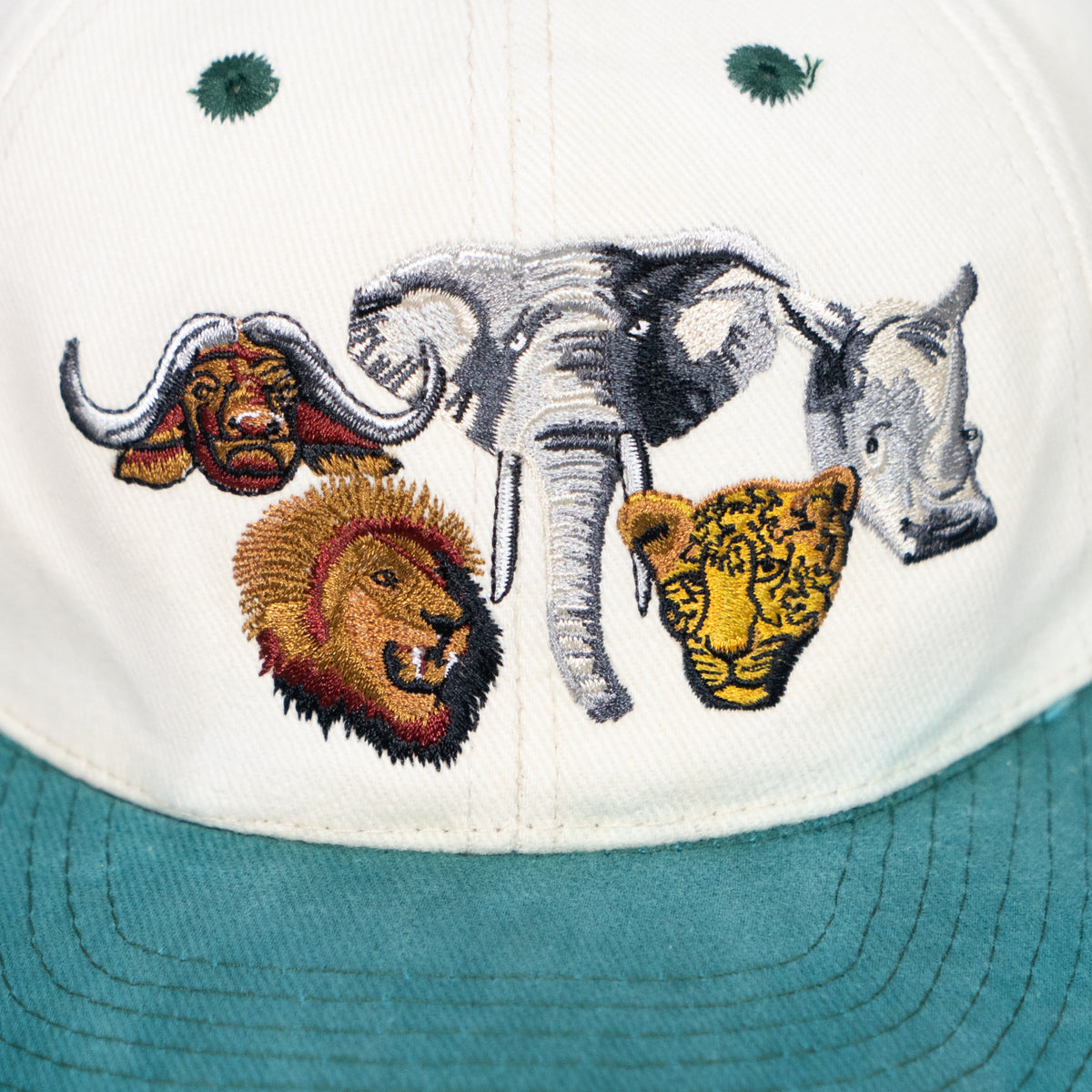Mowana Safari