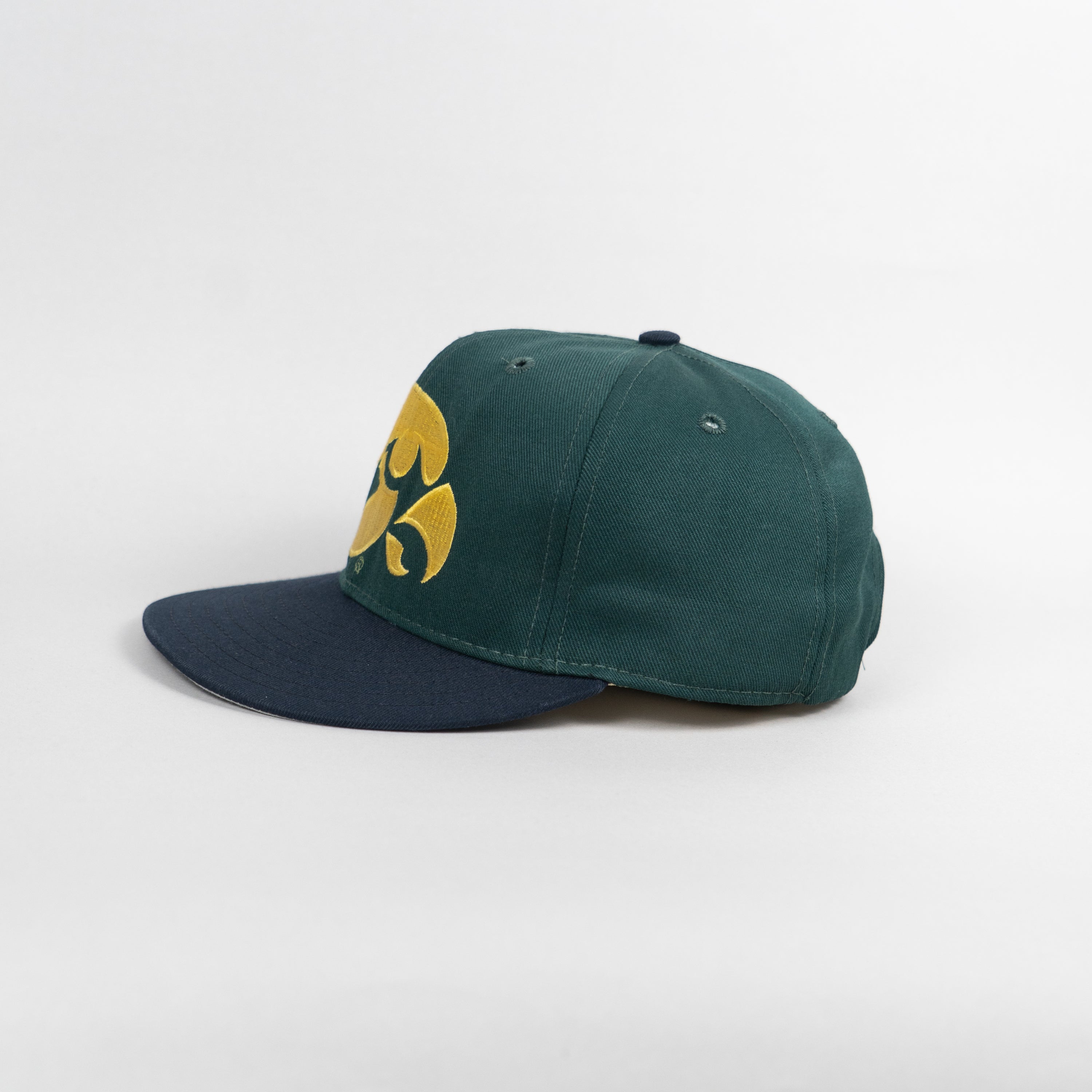 Iowa Hawkeyes