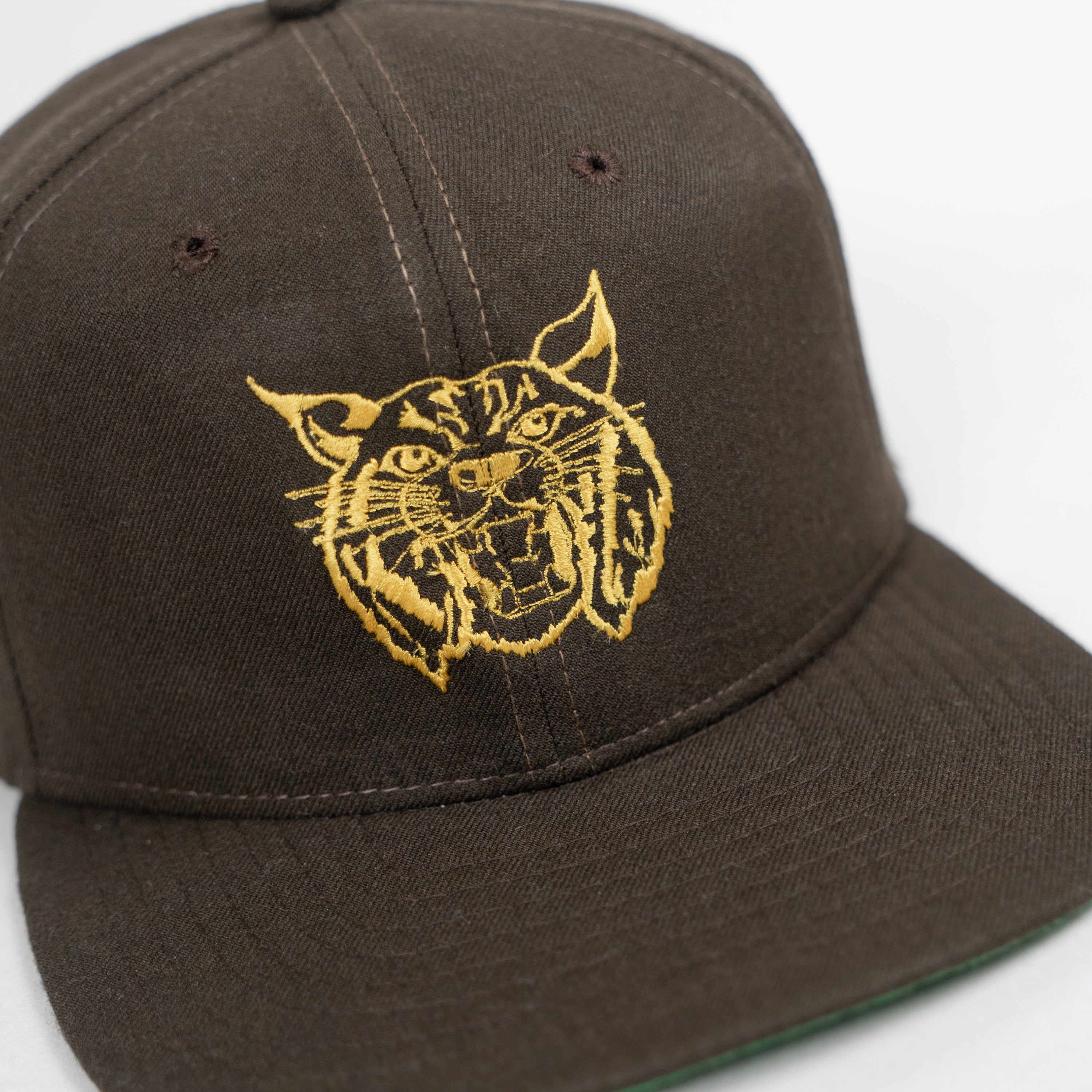 Wild Cat