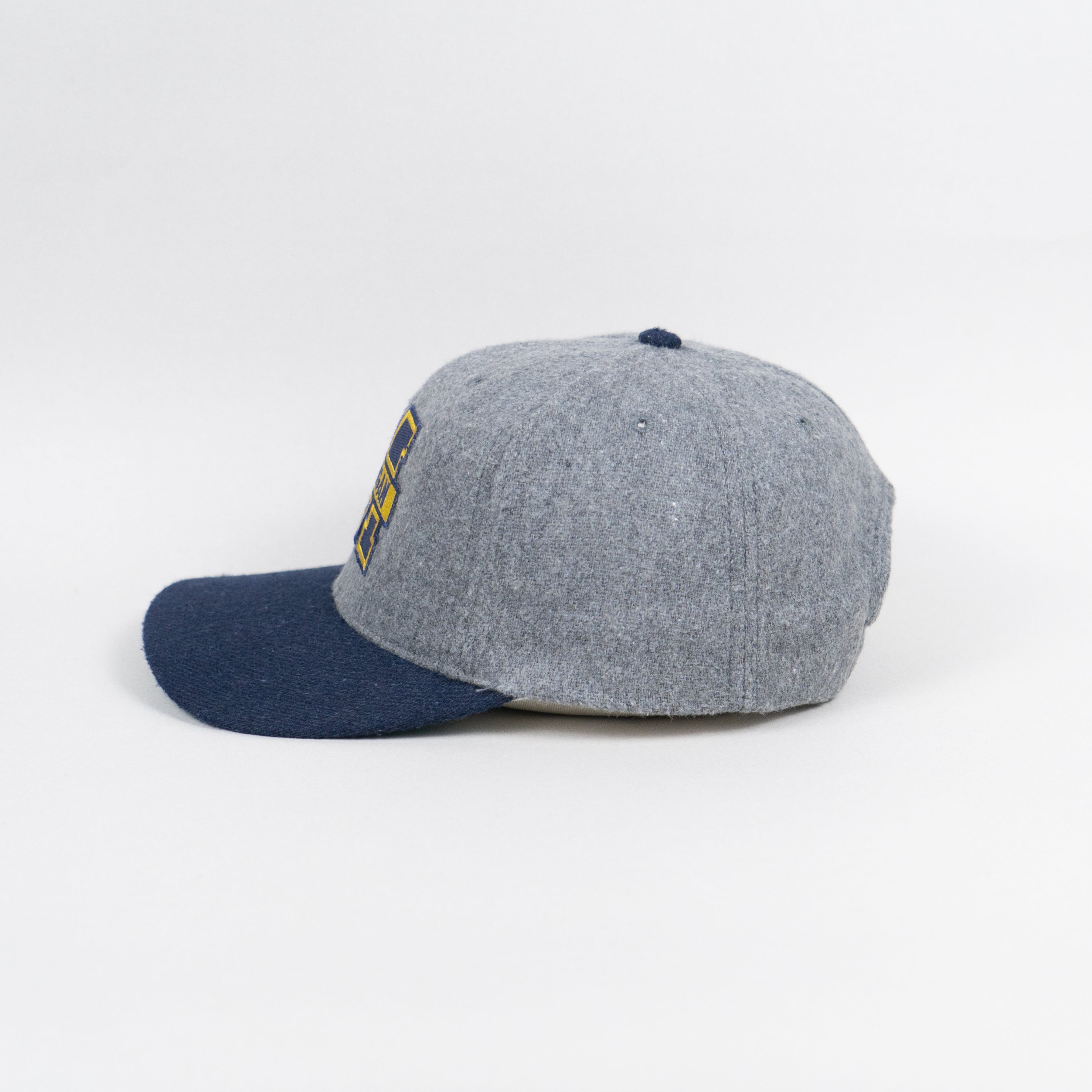 Michigan Wolverines