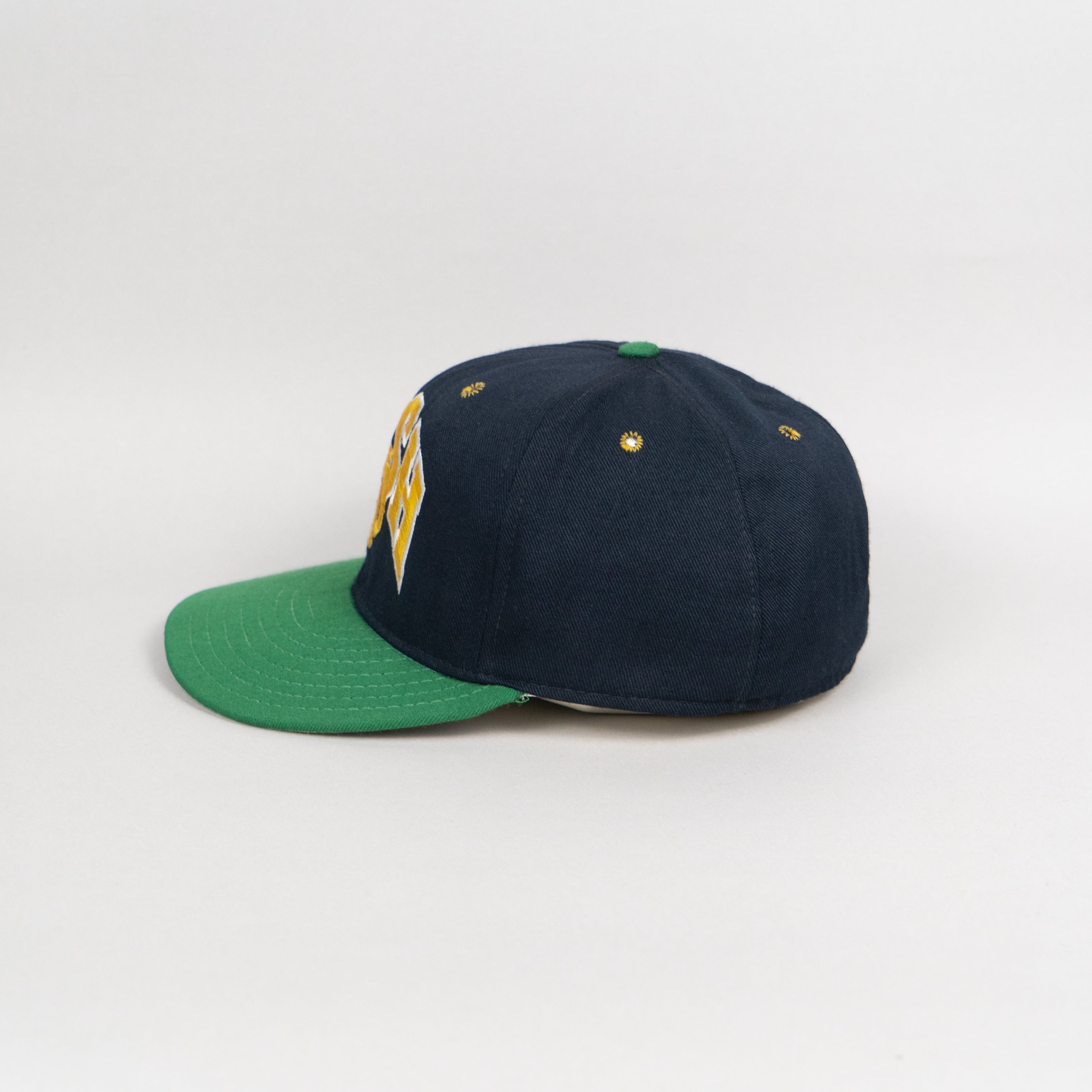 Notre Dame Fighting Irish