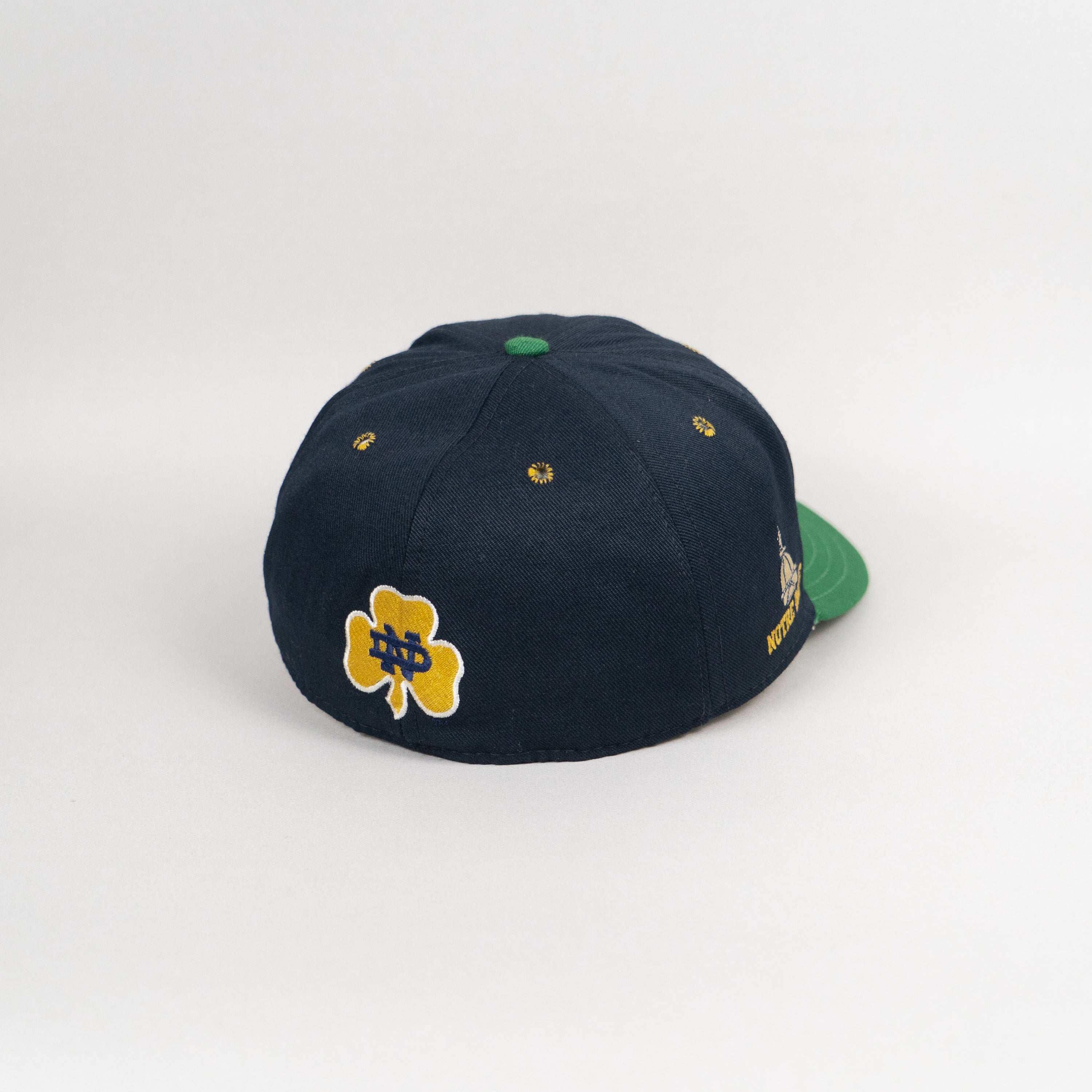Notre Dame Fighting Irish