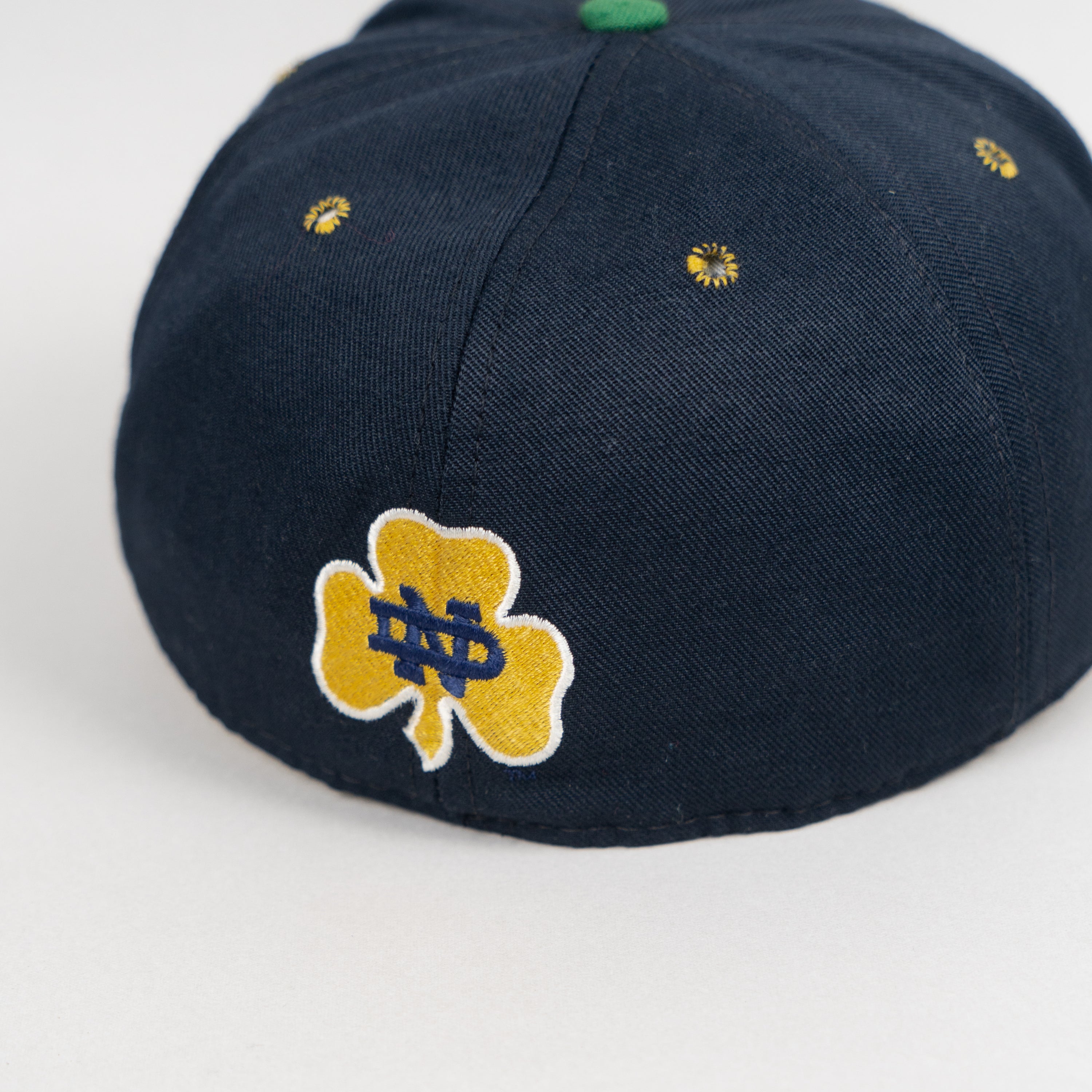 Notre Dame Fighting Irish