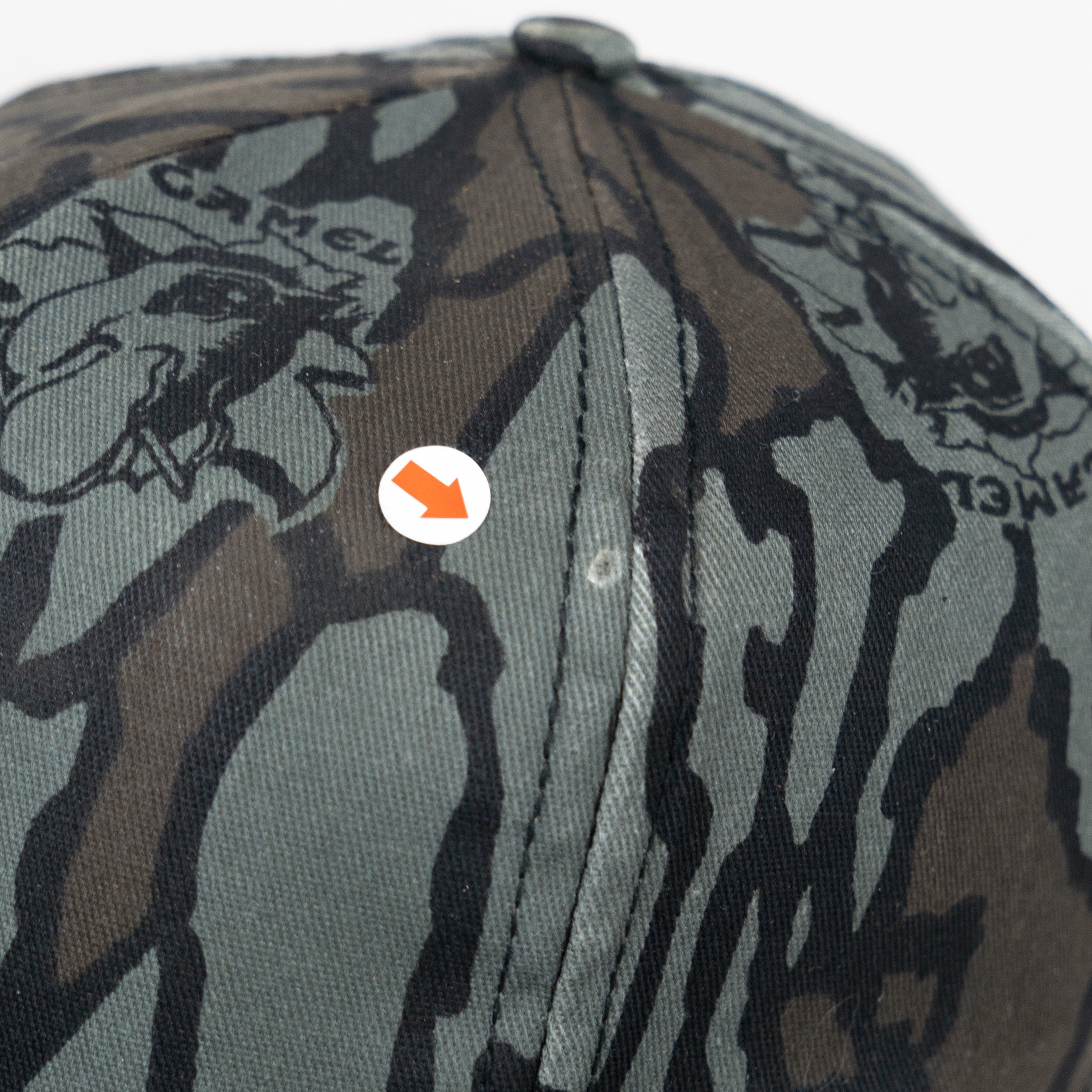 Camel Camo #4