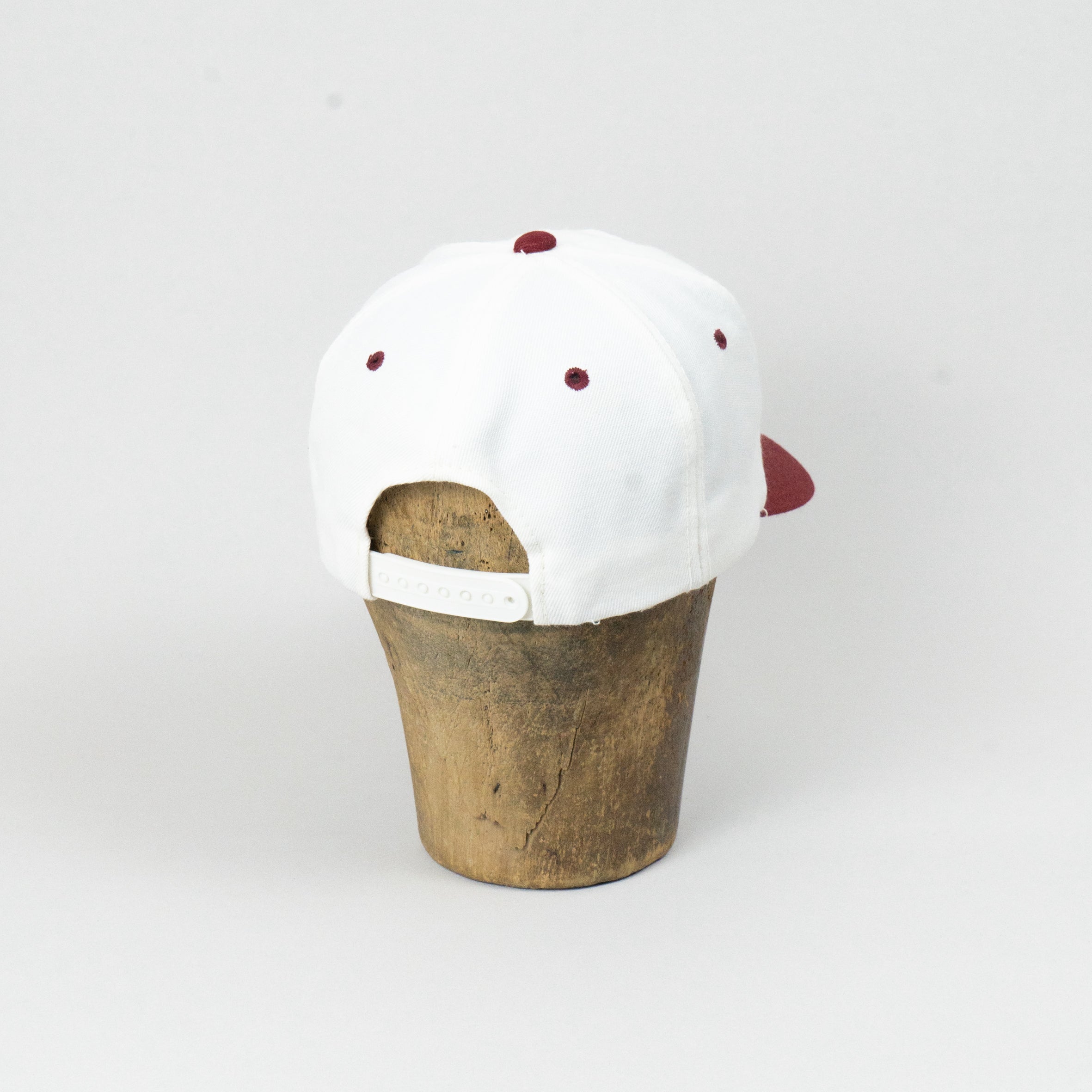 Arabama Crimson Tide