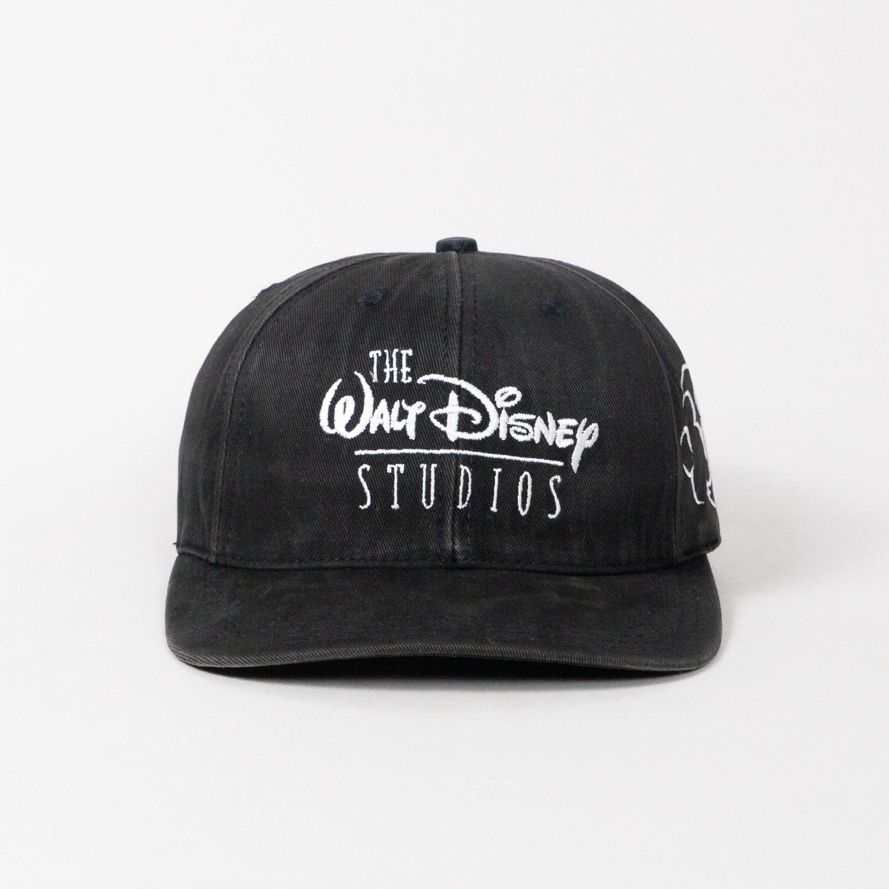 The Walt Disney Studios