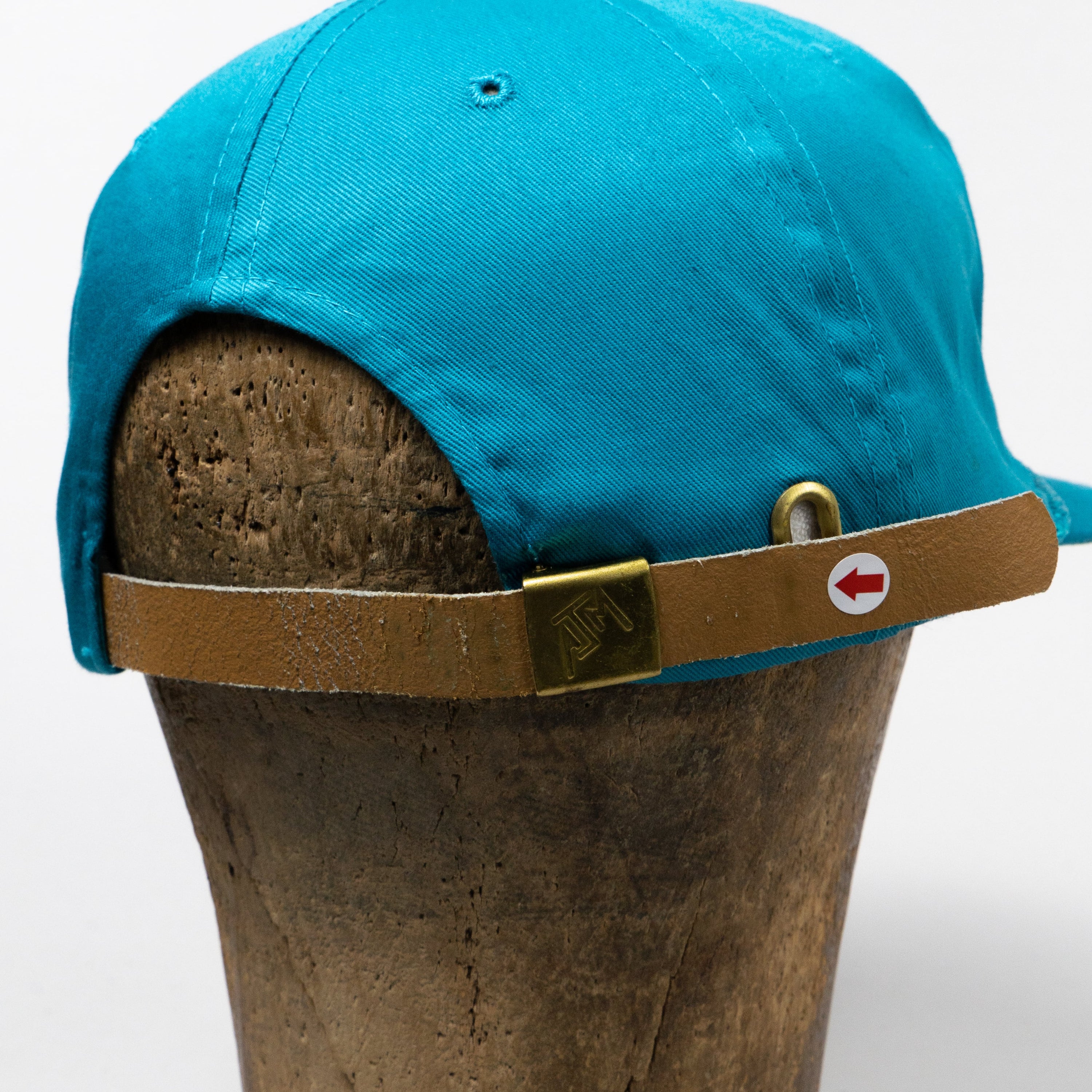 American Airlines Turquoise